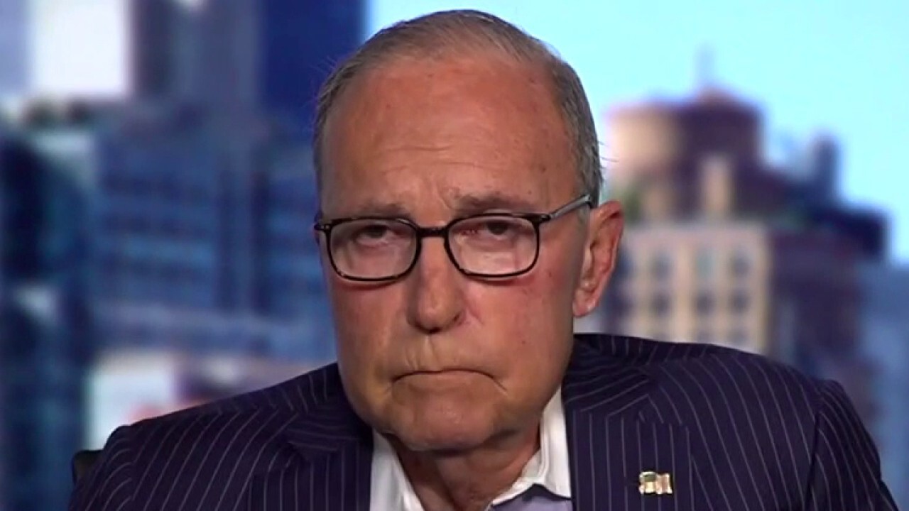 Kudlow: There will be an 'American revolt' come November