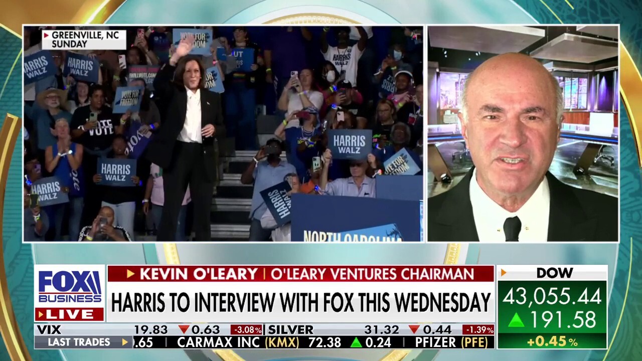 OLeary Ventures chairman Kevin OLeary reacts to former President Trump saying Elon Musk could be the secretary of cost cutting on The Big Money Show.