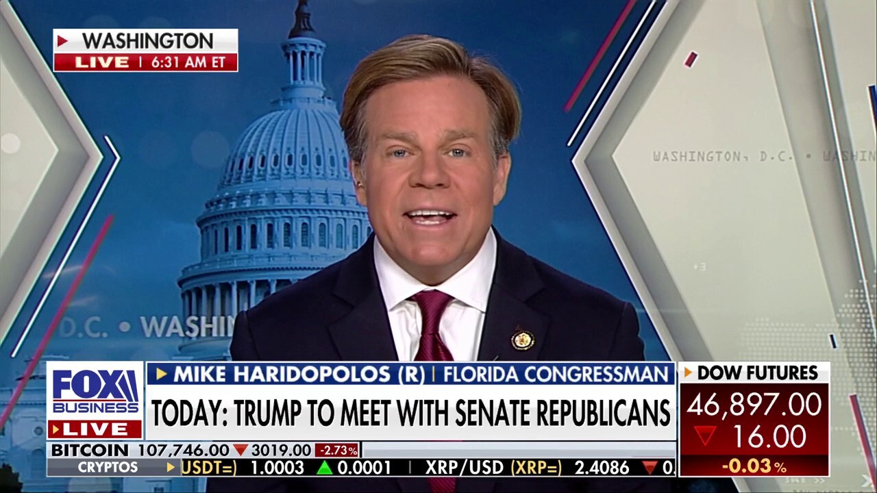 ‘Frustrating dealing with the Democrats right now’ amid government shutdown: Rep. Mike Haridopolos