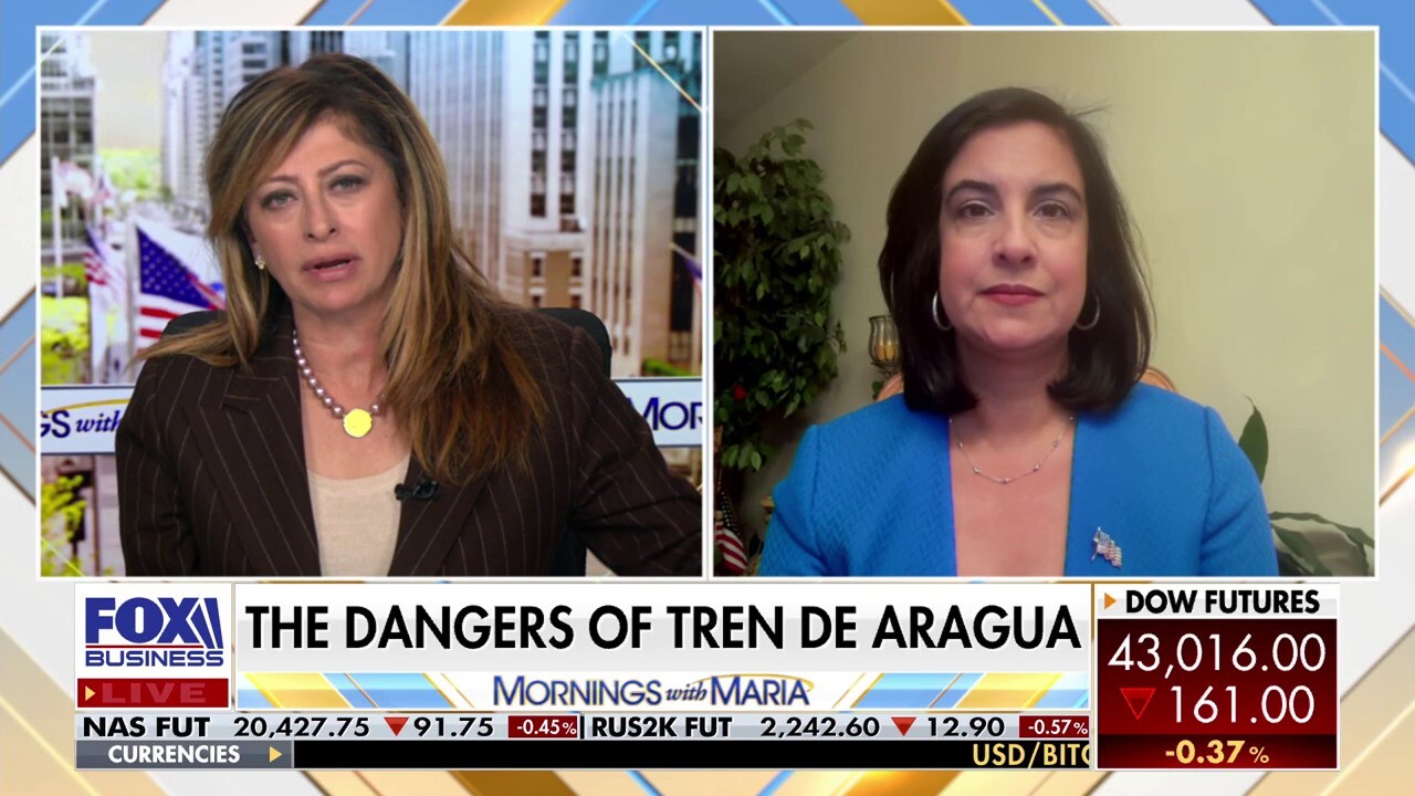 We need to get Tren de Aragua members deported: Rep. Nicole Malliotakis