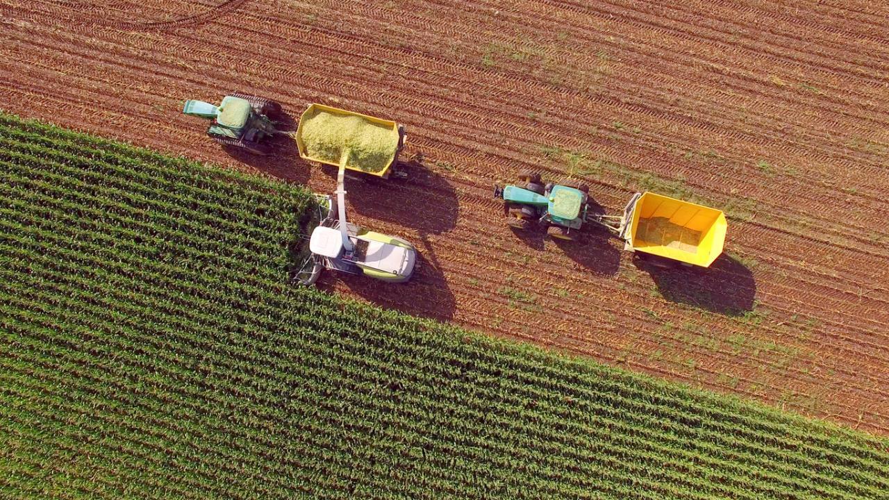 How a Mexico-U.S. trade war could impact the corn industry  