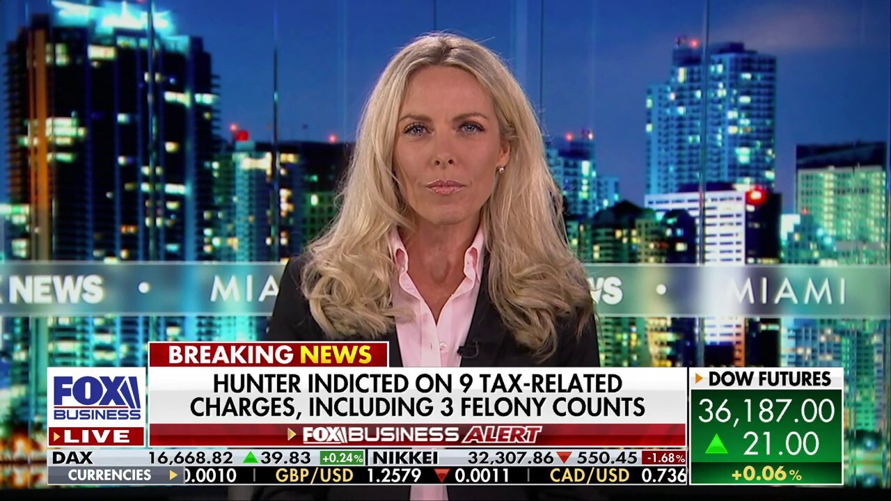 Nicole Parker on latest Hunter Biden indictment: 'All the credit goes to the whistleblowers'