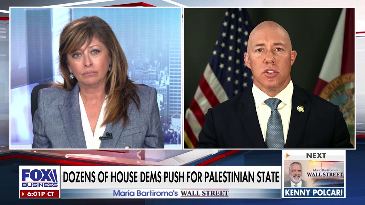 GOP rep: UN has been 'wholly complicit' in bringing about what October 7 was and where we're at today