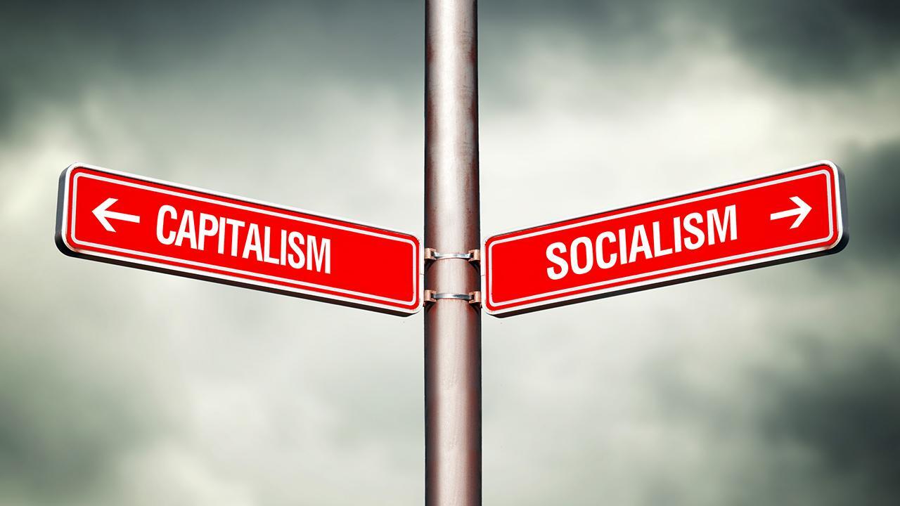 Socialism strips opportunities away from people: Professor
