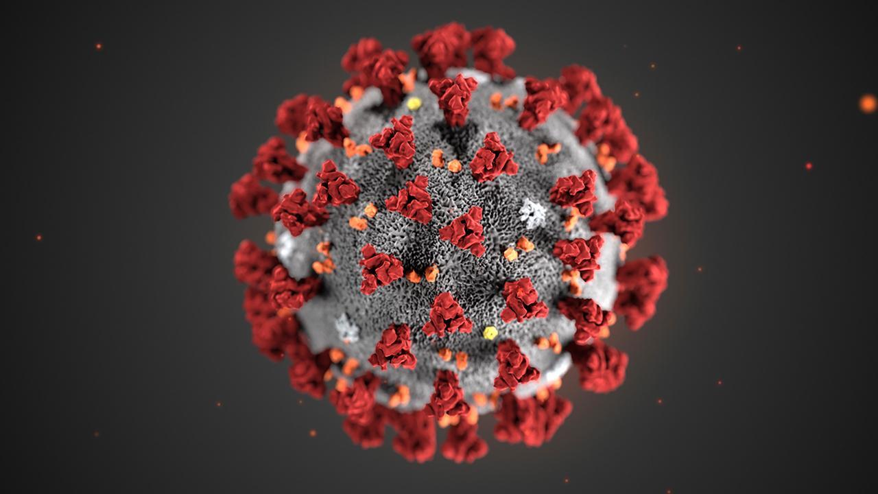 Are coronavirus worries becoming ‘hysterical’? 