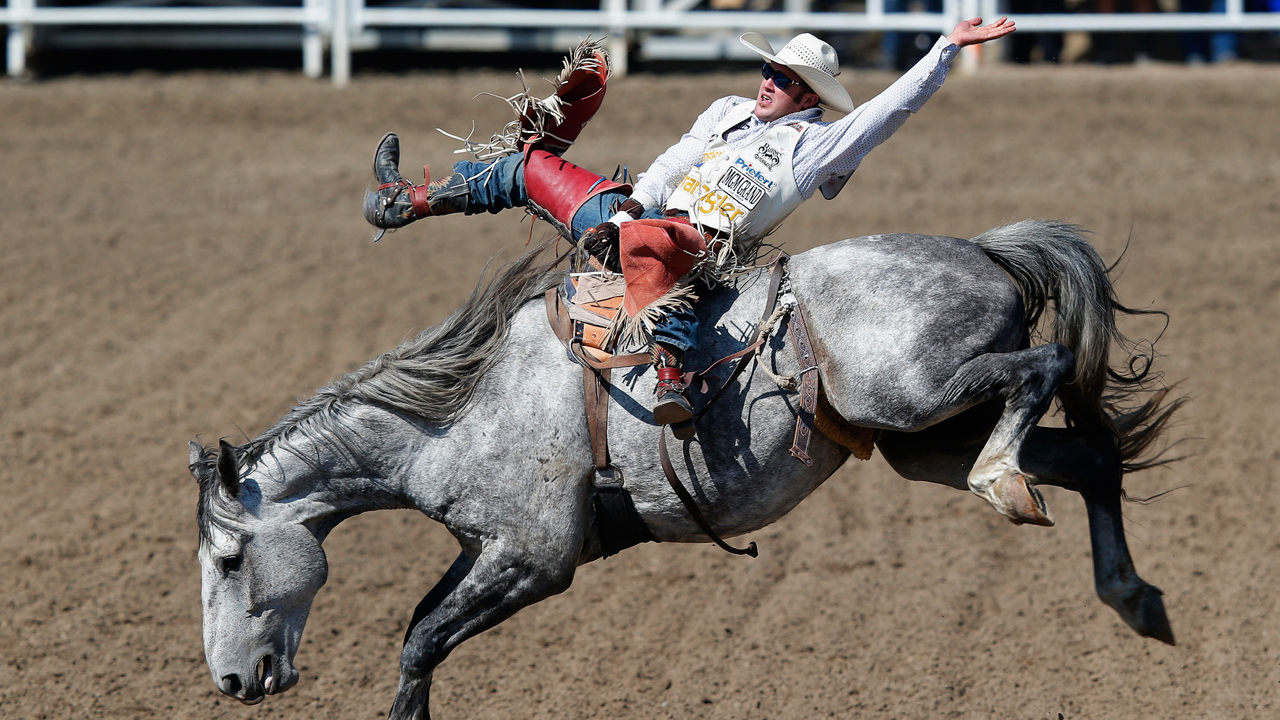 The booming business of bull riding