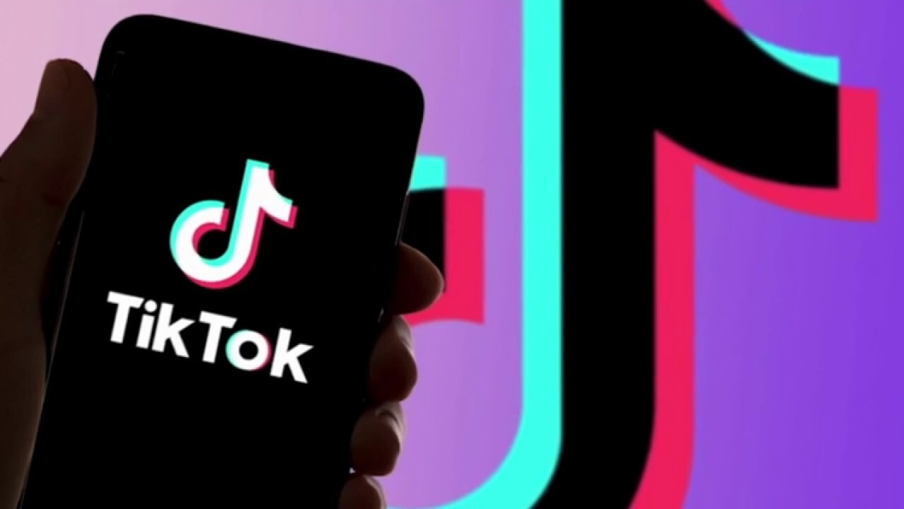 TikTok CEO lobbies lawmakers ahead of vote to ban video sharing app