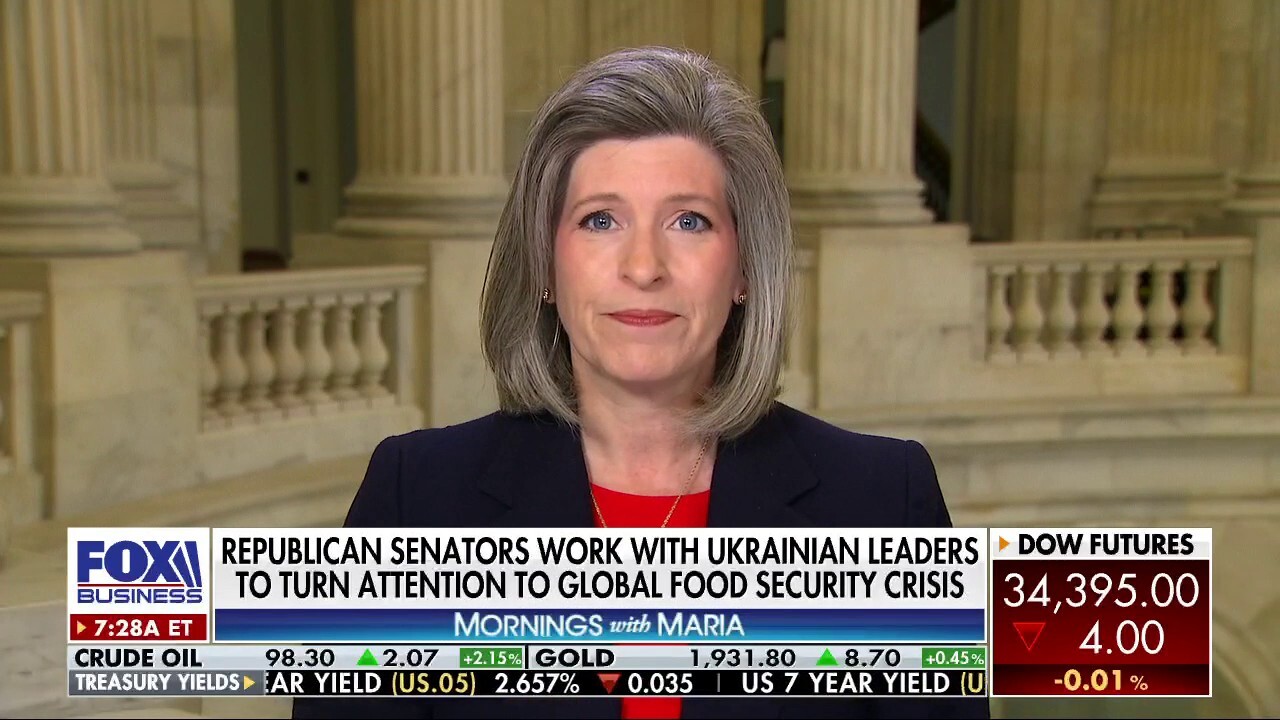 Sen. Joni Ernst, R-Iowa, argues the quickest way to address the potential food shortage is for Ukraine to 'win this war.'