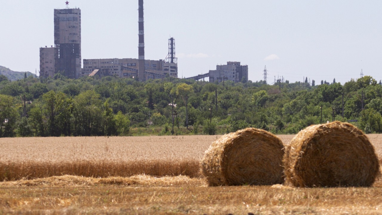 Wheat, corn, gas prices could surge due to Ukraine crisis