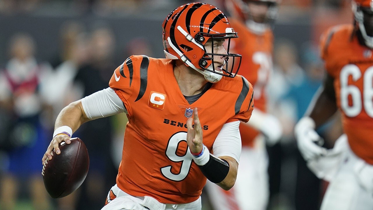 $5 million bet on bengals