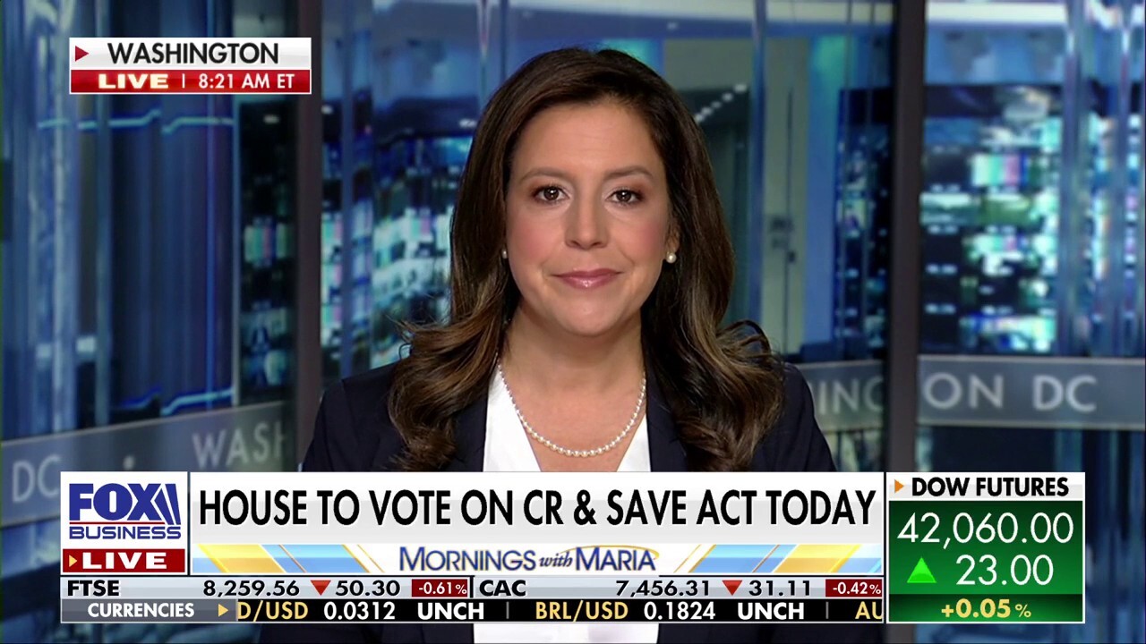 Democrats are ‘so radicalized’ in their approach to border policy: Rep. Elise Stefanik