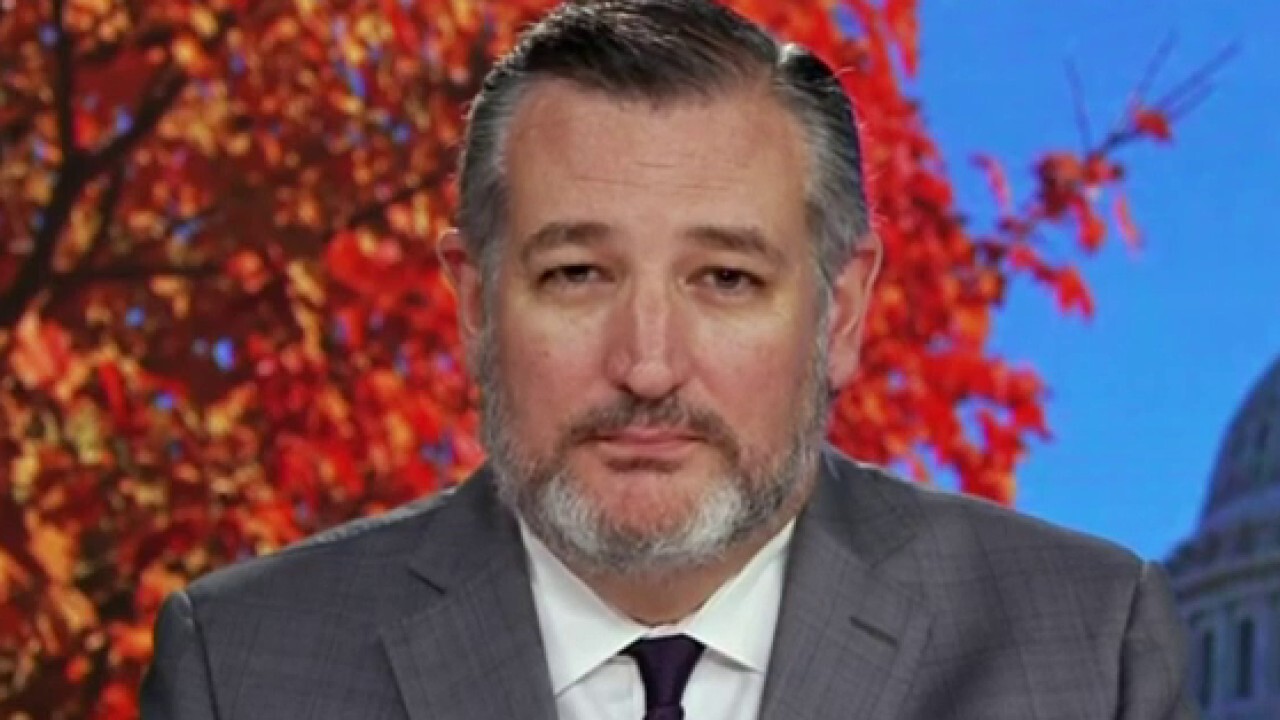 Ted Cruz: Biden wants Israel to stop killing terrorists