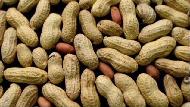 The potential tool in the fight against peanut allergies