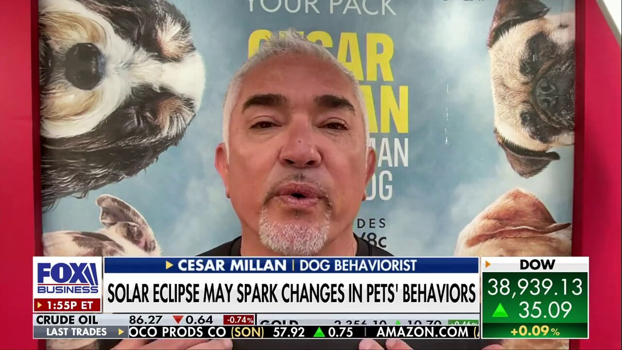 Solar eclipse may spark behavioral changes in your pet: Cesar Millan