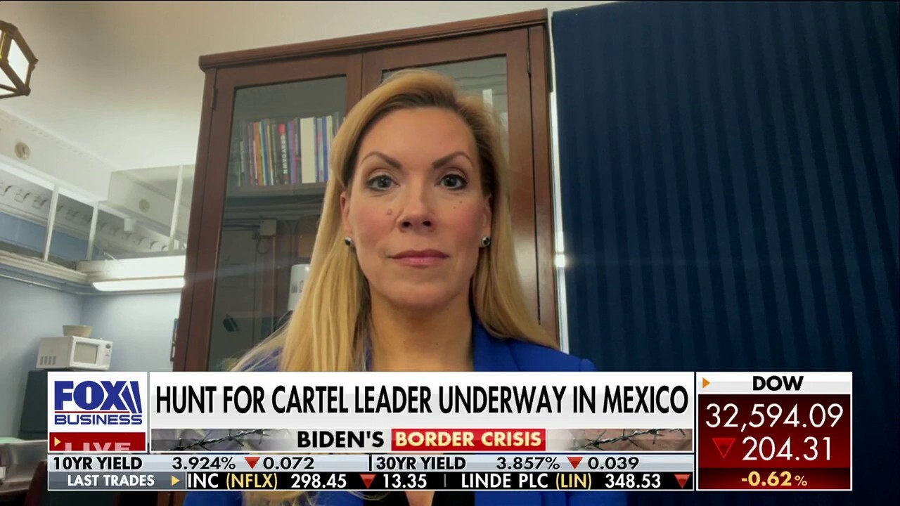 US must use ‘every tool in our toolbox’ to go after cartels: Rep. Beth Van Duyne