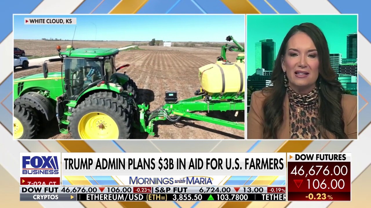 Trump plans $3B in aid to help US farmers hit by Democrats' shutdown 