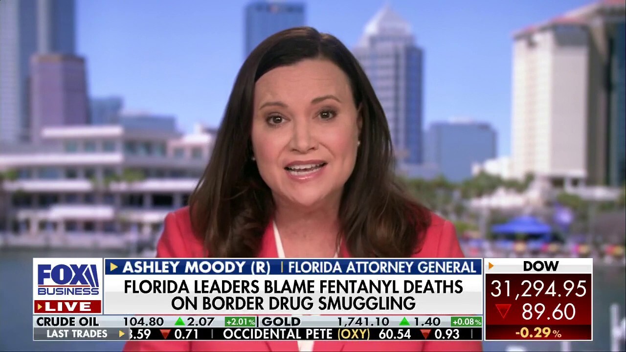 Fentanyl border smuggling a 'tragedy in the making': Florida AG