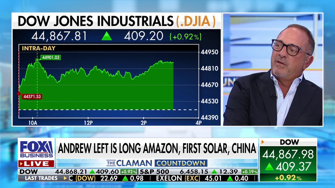 Citron Research founder Andrew Left analyzes the state of the U.S. market and the wider economy on 'The Claman Countdown.'