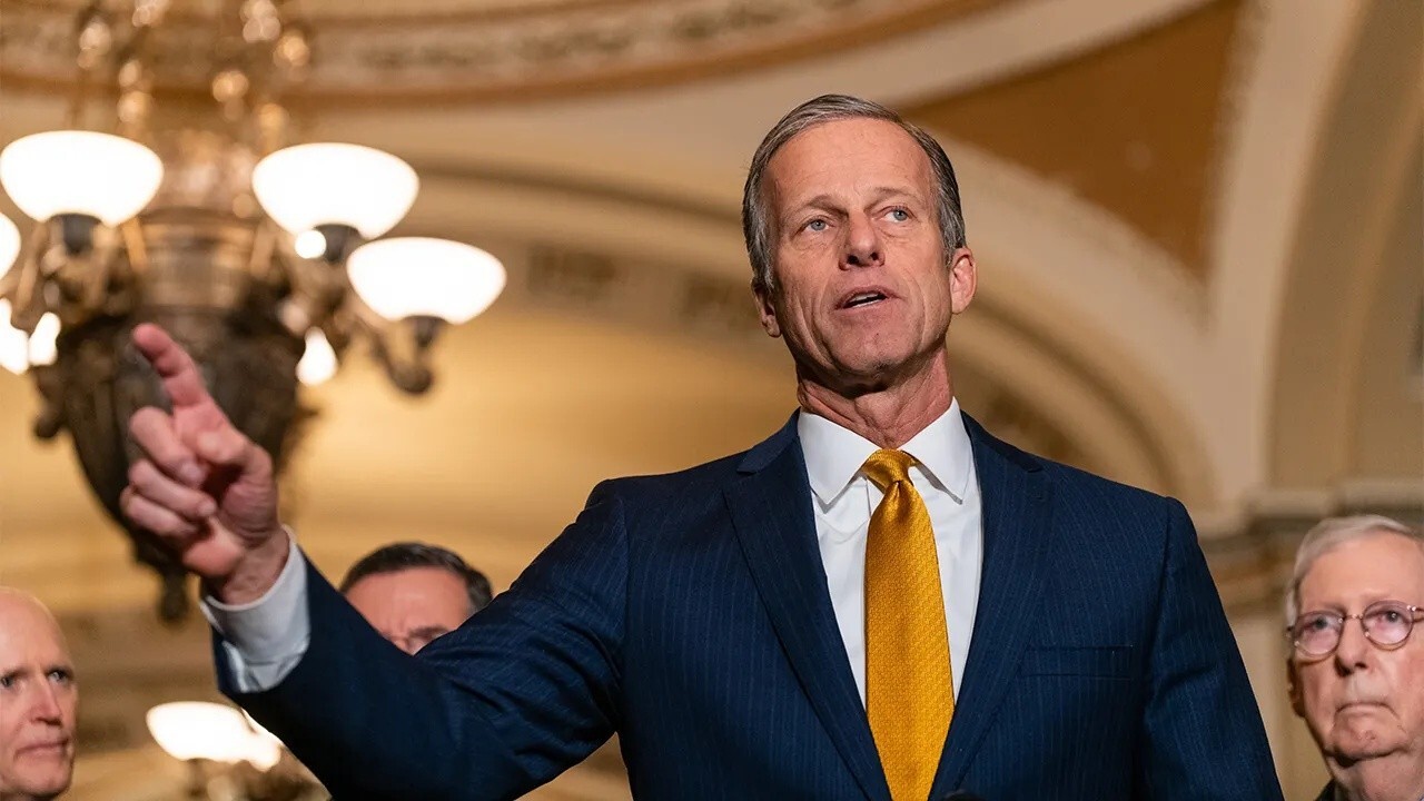 John Thune is 'very establishment,' same ilk as Mitch McConnell: Rebecca Walser