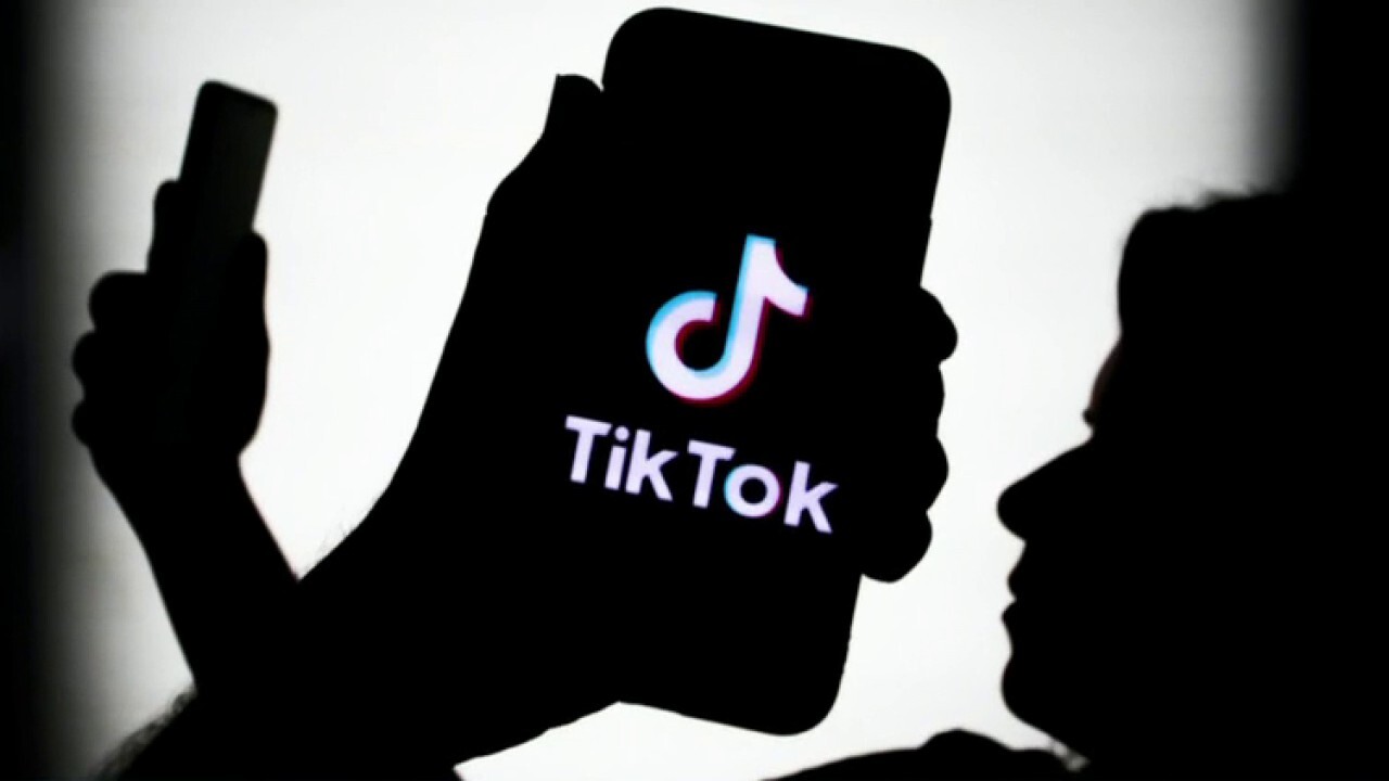 TikTok's 'too big to ban' argument is more reason to prohibit the app: Jacob Helberg 