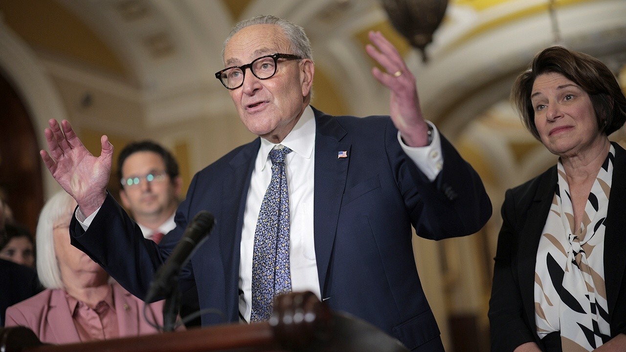 Schumer shut down government for radical Democrat reasons: Brooke Rollins 