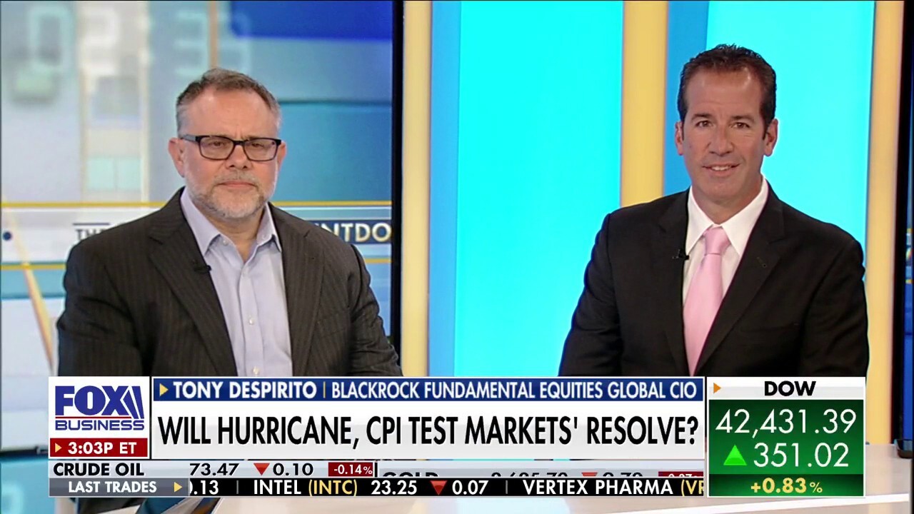 'The Claman Countdown' panelists Tony Despirito and Scott Redler discuss market outlook.