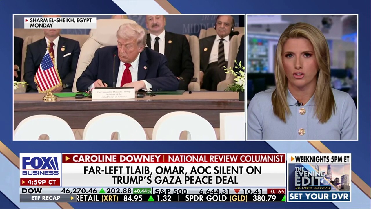 Democrats are protesting for its own sake, columnist says