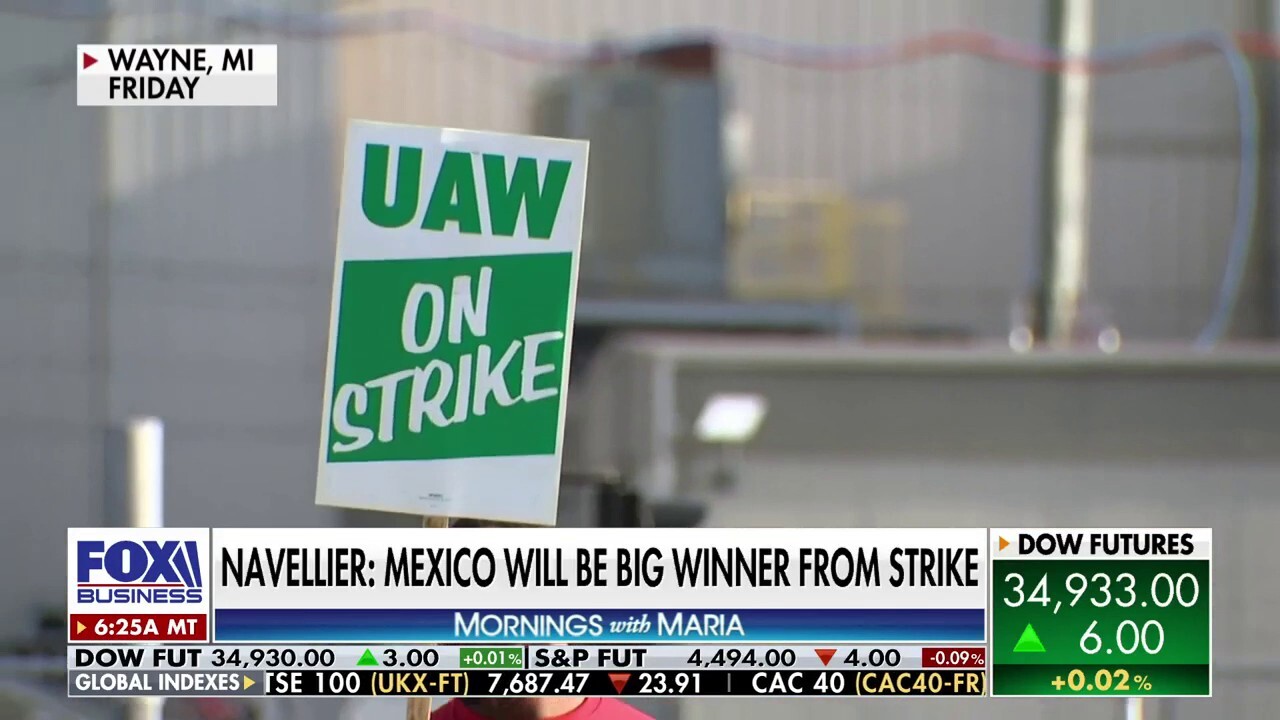 Mexico, Elon Musk will be the big winners from UAW strike: Louis Navellier