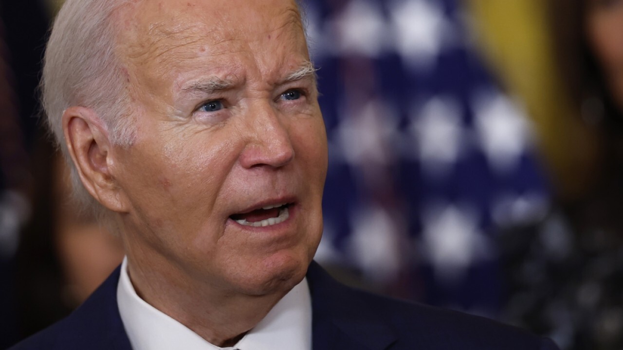 Economist's message to Biden: 'You can't revive the economy with a giant tax increase'