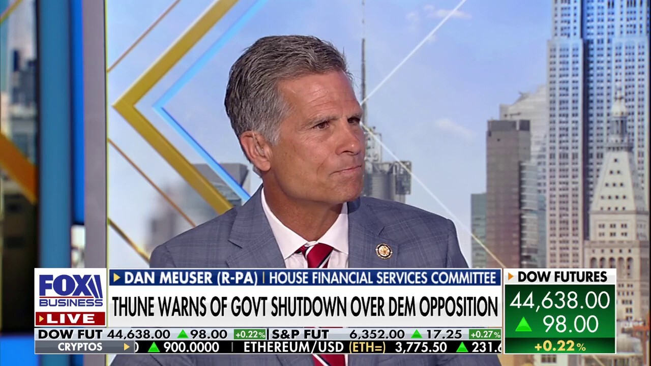 Democrats are 'flailing away, trying to get attention' over potential government shutdown, GOP rep says