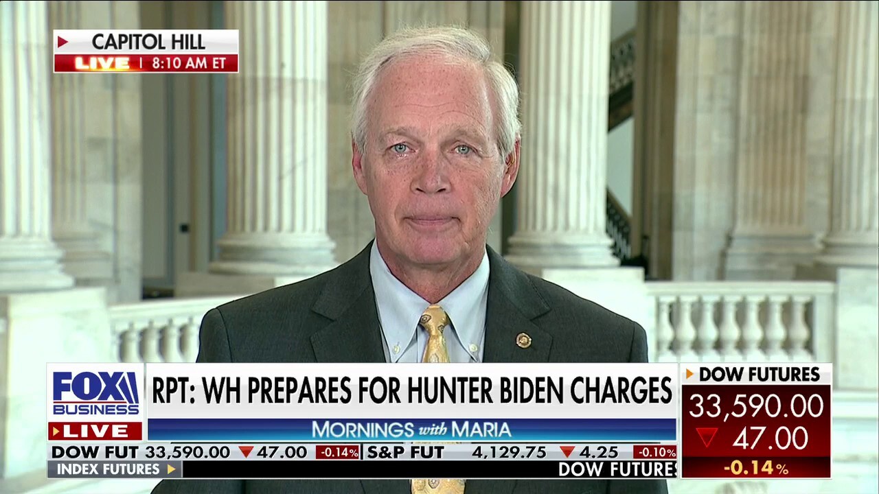 Volume of evidence against Hunter Biden shows how 'clear the corruption' is: Sen. Ron Johnson