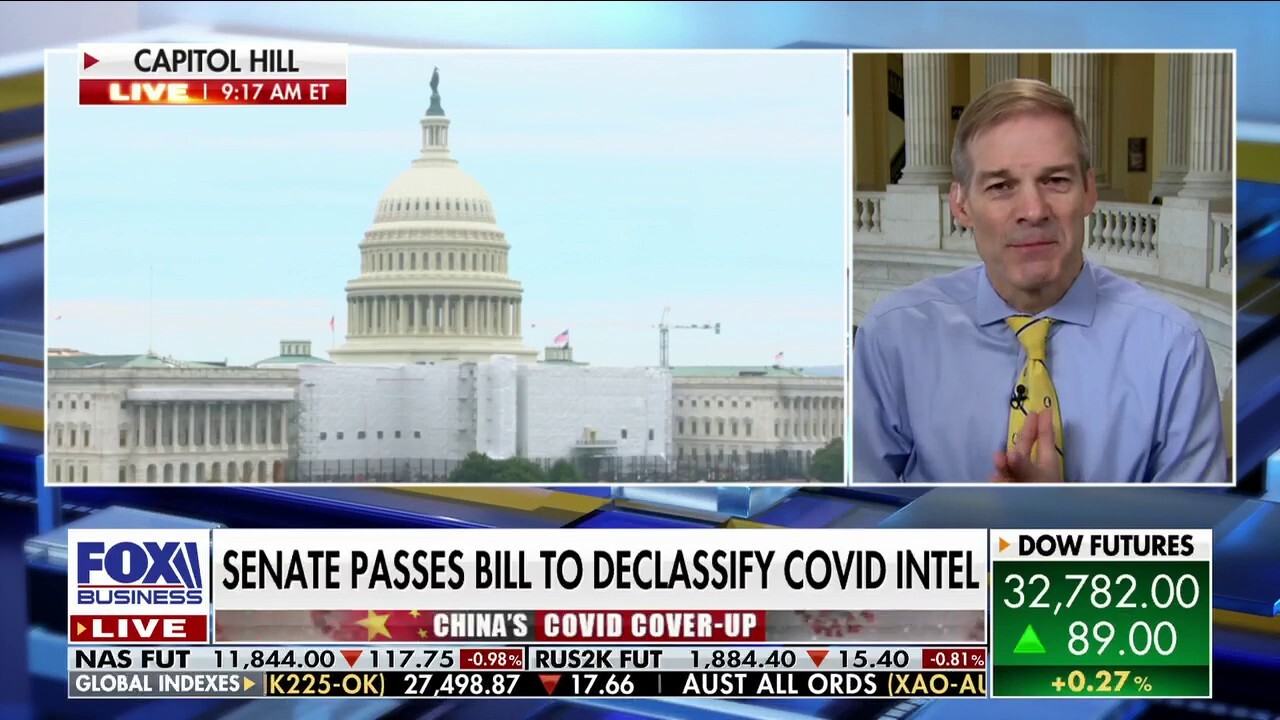 Sen. Hawley's COVID-19 bill 'right on target': Rep. Jim Jordan