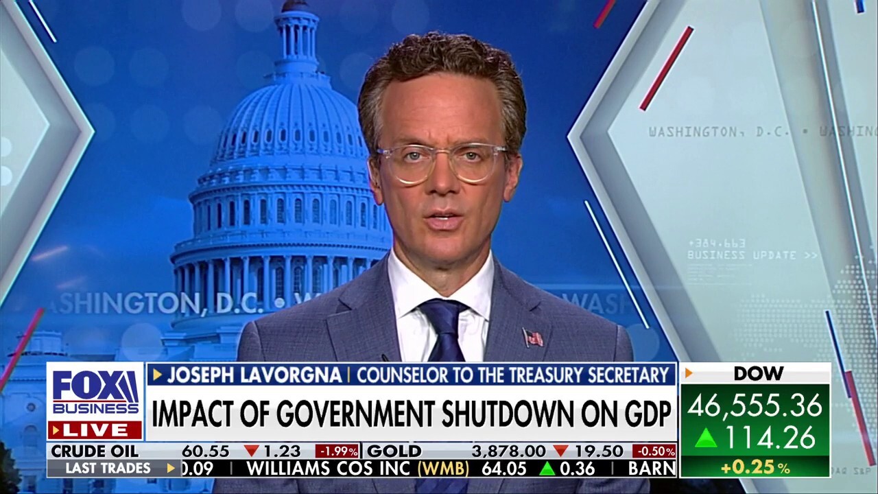 Treasury secretary counselor condemns 'worst sort of politics,' argues Dems causing 'unnecessary hardship'