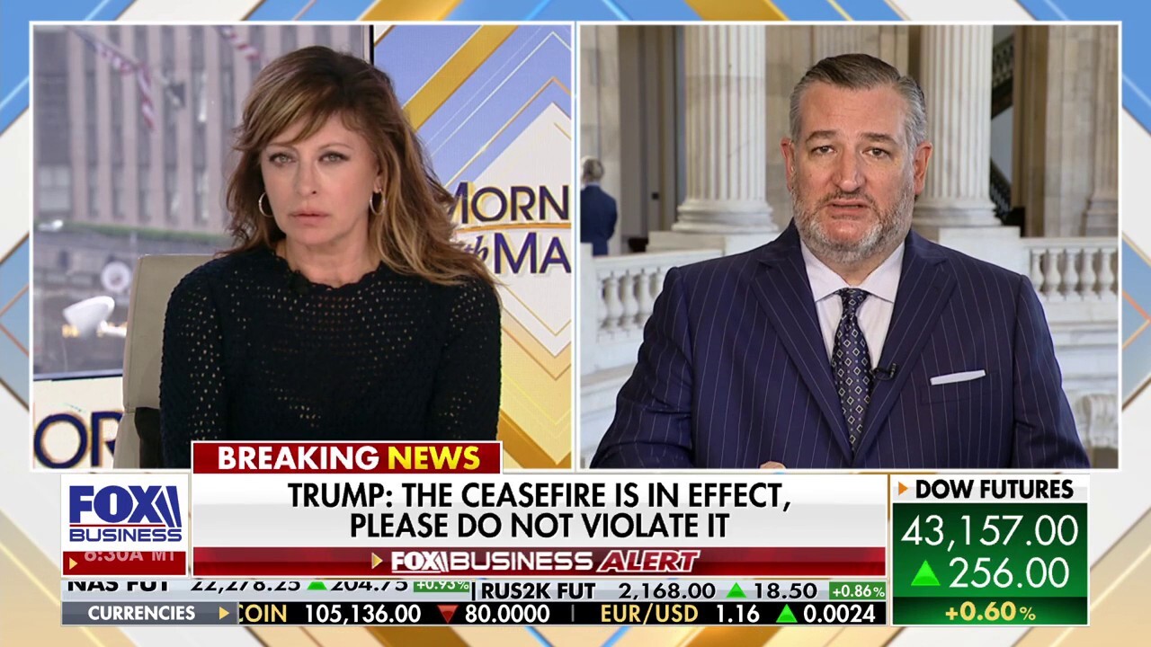 Sen. Ted Cruz, R-Texas, breaks down President Donald Trump's leadership on the global stage, foreign policy towards China, Democrats moving to limit the president's war power authority and the Senate's rewrite of the 'big, beautiful bill.'