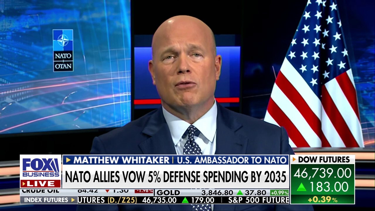 European allies are standing up to Russian drone incursions: Matthew Whitaker