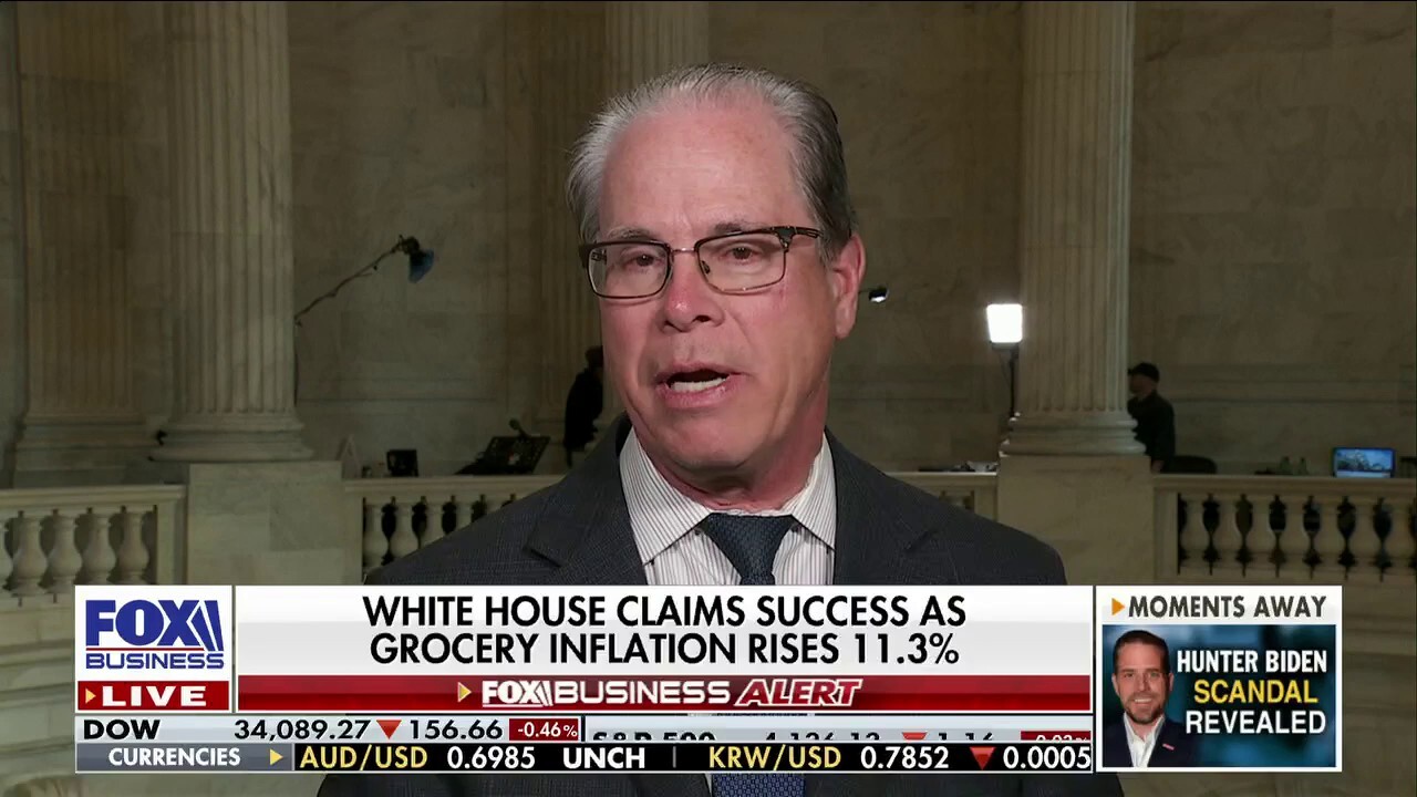 Sen. Mike Braun: Biden administration 'needs to own' inflation mess