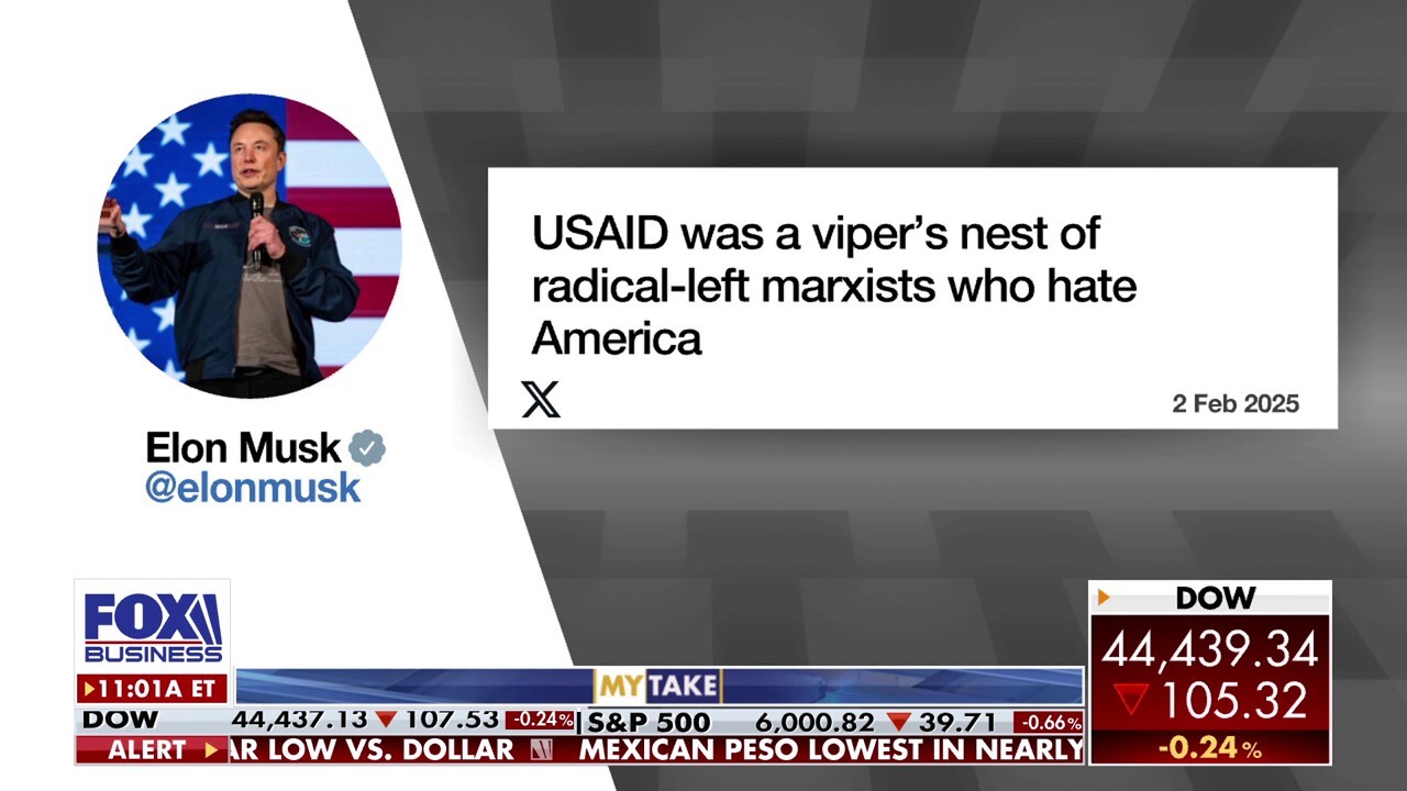 'Varney & Co.' host Stuart Varney discusses Elon Musk's DOGE helping President Trump shut down USAID as more government slashing could be on the way. 