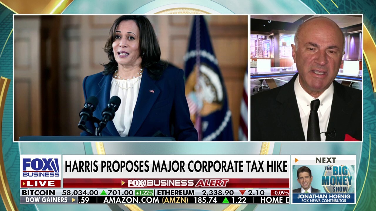 O'Leary Ventures Chairman Kevin O'Leary discusses Kamala Harris' proposed tax policies on 'The Big Money Show.'