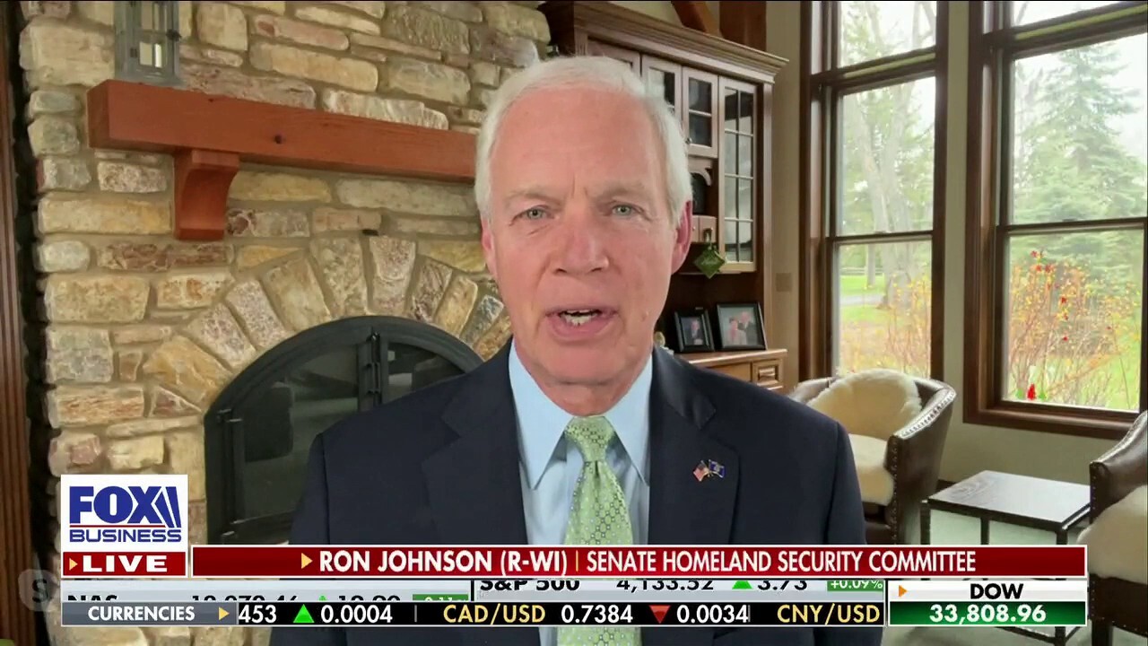 No one could have had a better plan to destroy the country than the Biden admin: Sen. Ron Johnson