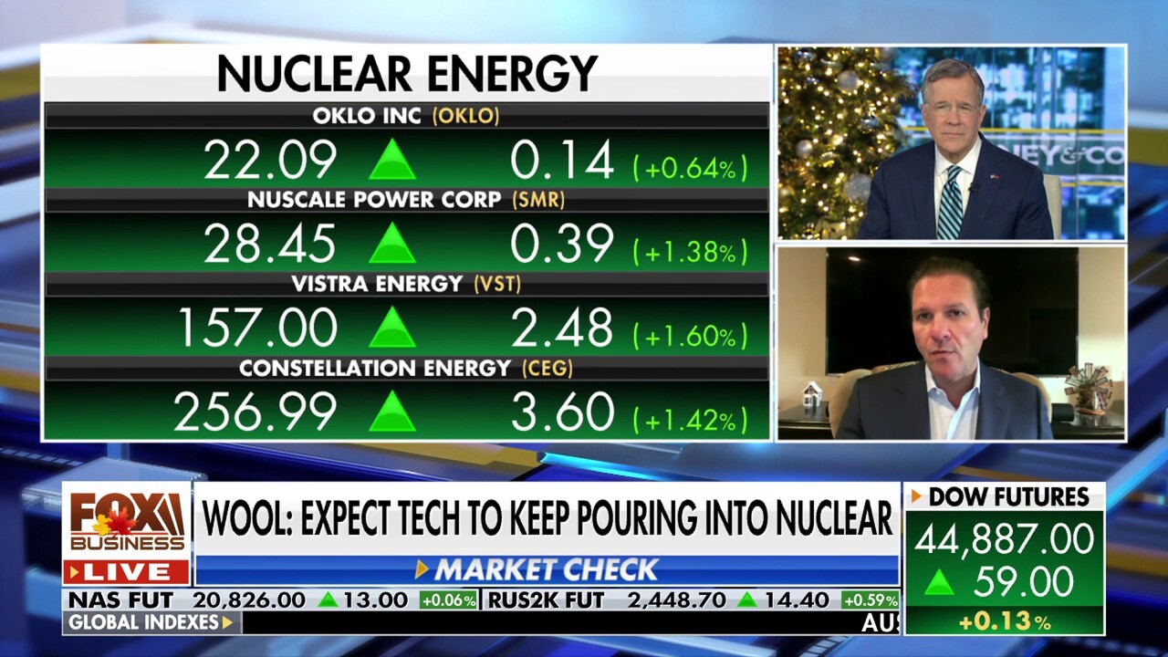 Market expert reveals why these small modular reactor stocks are 'exciting'