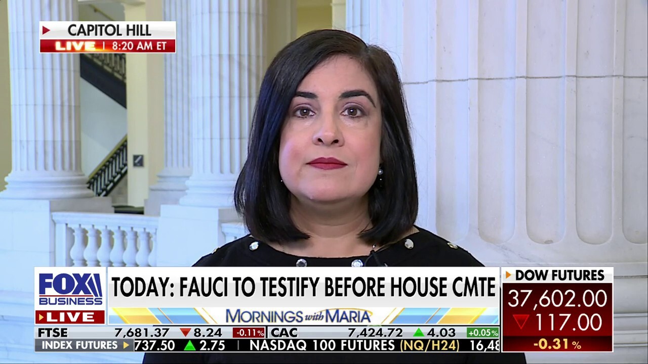 Rep. Malliotakis calls out Democrats' supporters over escalating migrant crisis: 'Change who you're electing'