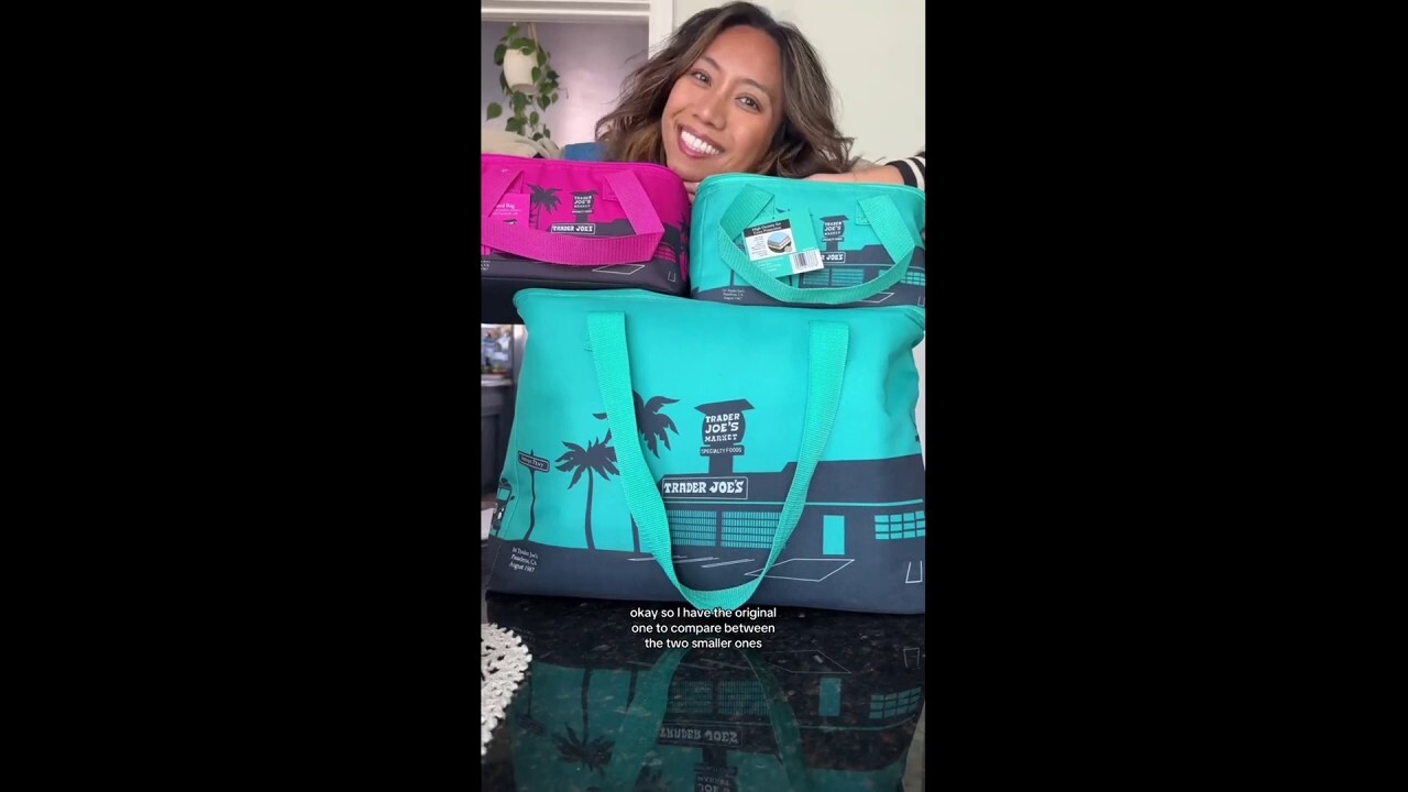 Shoppers are highlighting the limited Trader Joe's mini cooler bags that sell for around four dollars. (Credit: @geetripsandeats /TMX)