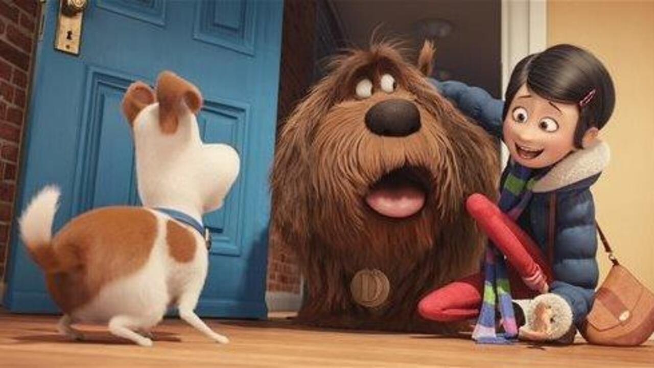 'Secret Life of Pets' crushes box office 