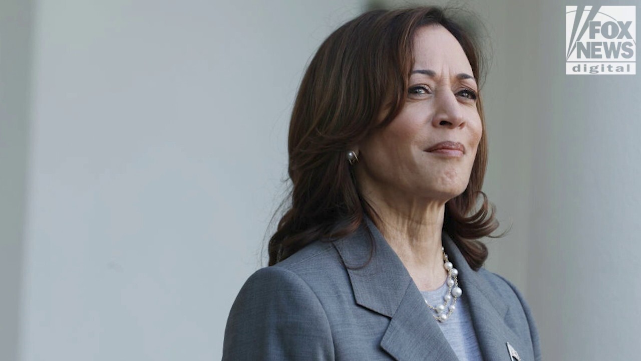 Entrepreneur says small business owners should be concerned about Kamala Harris presidency