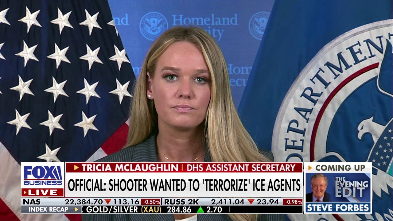 DHS official sounds off over anti-ICE rhetoric: 'When is enough, enough?'