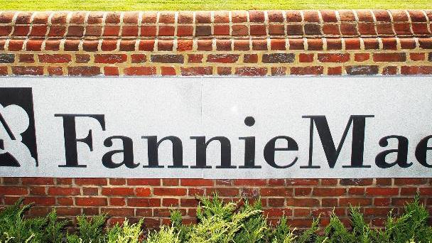 How big could Fannie Mae, Freddie Mac's IPO be in the future?