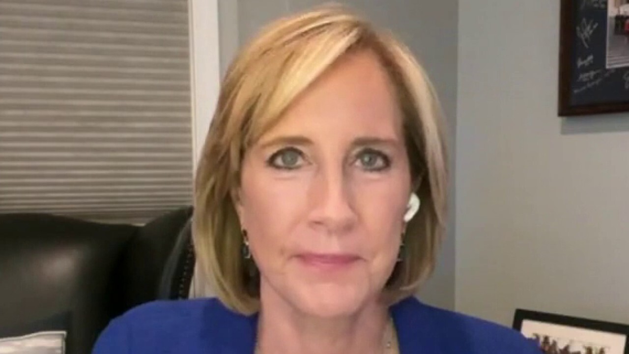 Border crisis a human tragedy 'foisted' upon the American people: Rep. Claudia Tenney