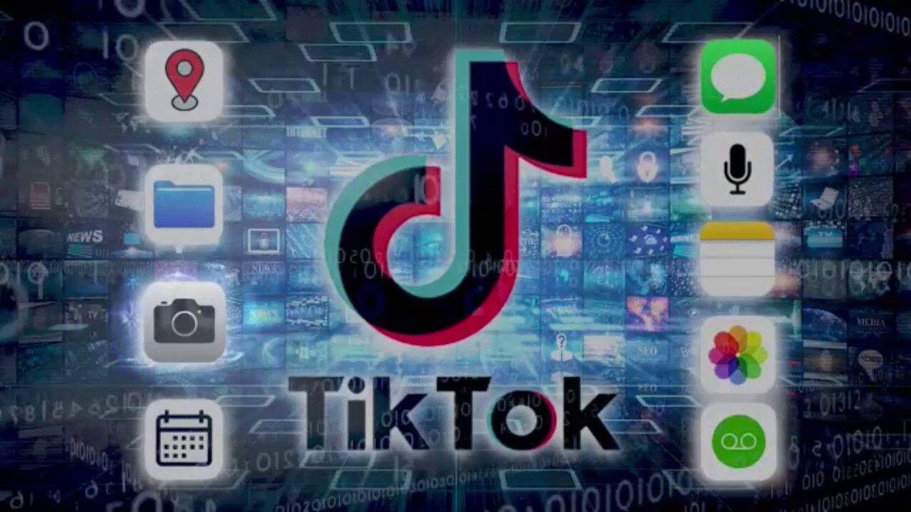 Here's the data that TikTok collects on its users