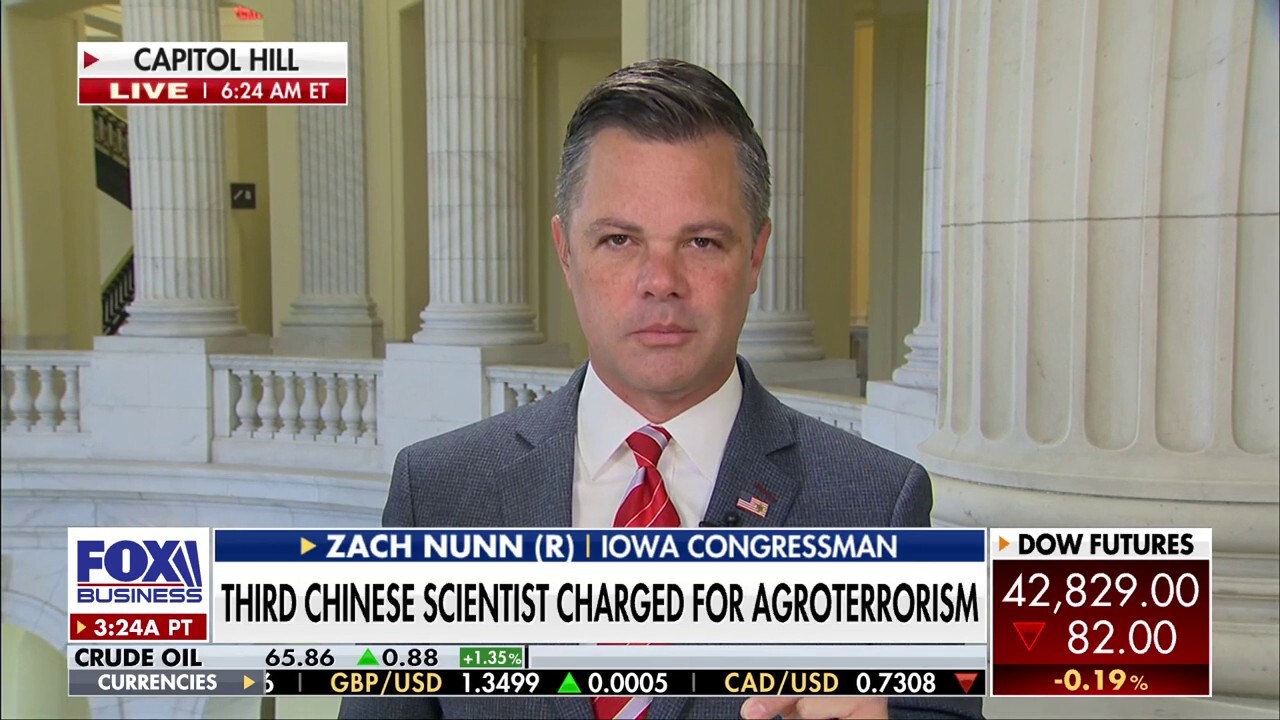 GOP rep sounds alarm over Chinese threat to US food supply