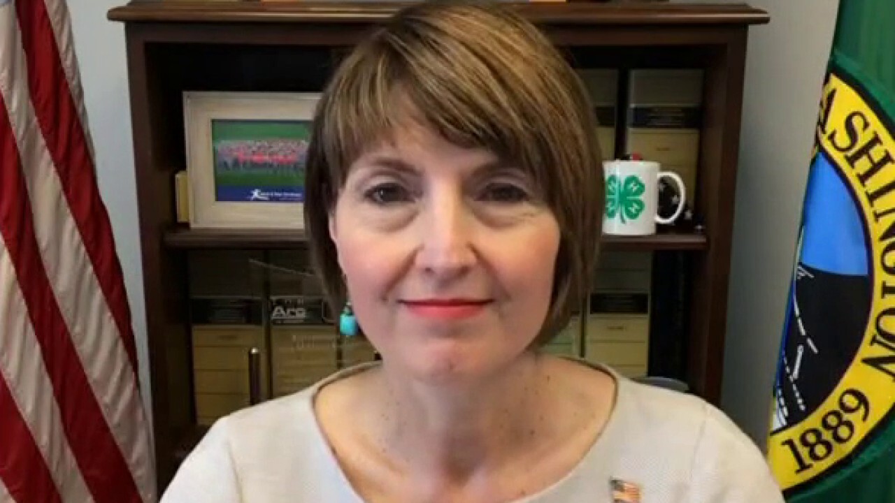 Washington Republican Rep. Cathy McMorris Rodgers provides insight on American energy policies and price controls on 'Kudlow.'